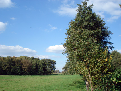 bezaubernde Altmark