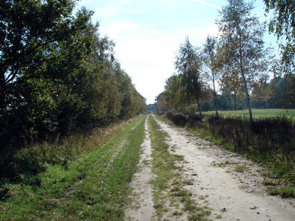 Grenzweg