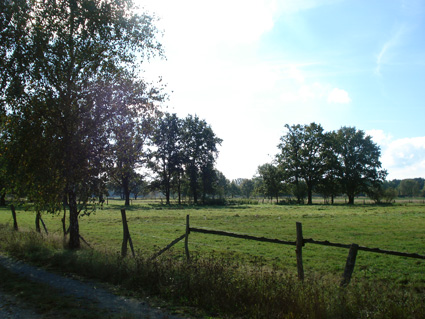 Landschaftsbühne