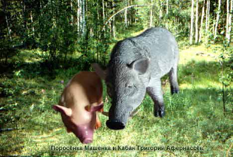 Das Schweinchen Maschenka und der Keiler Grigorij Afernassjew